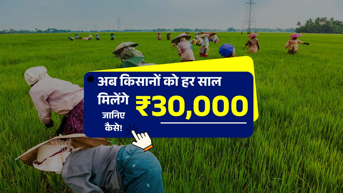 Agriculture Business Scheme